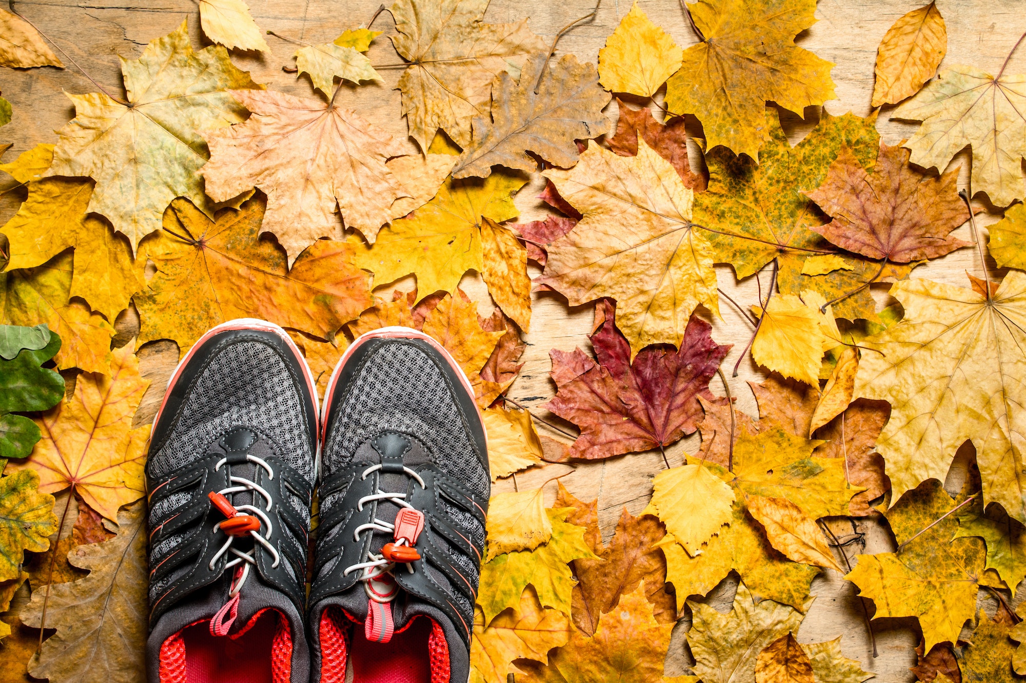 Les couleurs et motifs des sneakers : trouver le modèle qui vous correspond